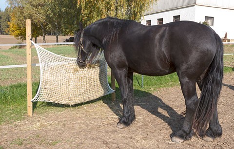 Heunetz Heutasche