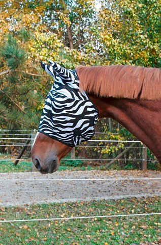 Fliegenmaske Zebra