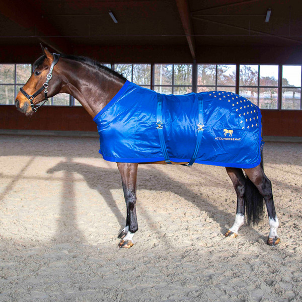 Accuhorsemat®-Decke Winter
