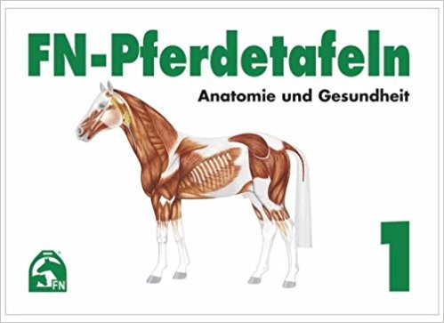 FN Pferdetafeln 1 Anatomie und Gesundheit