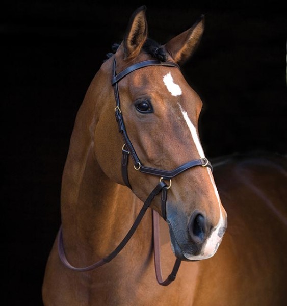 Horseware Rambo® Micklem® Multibridle